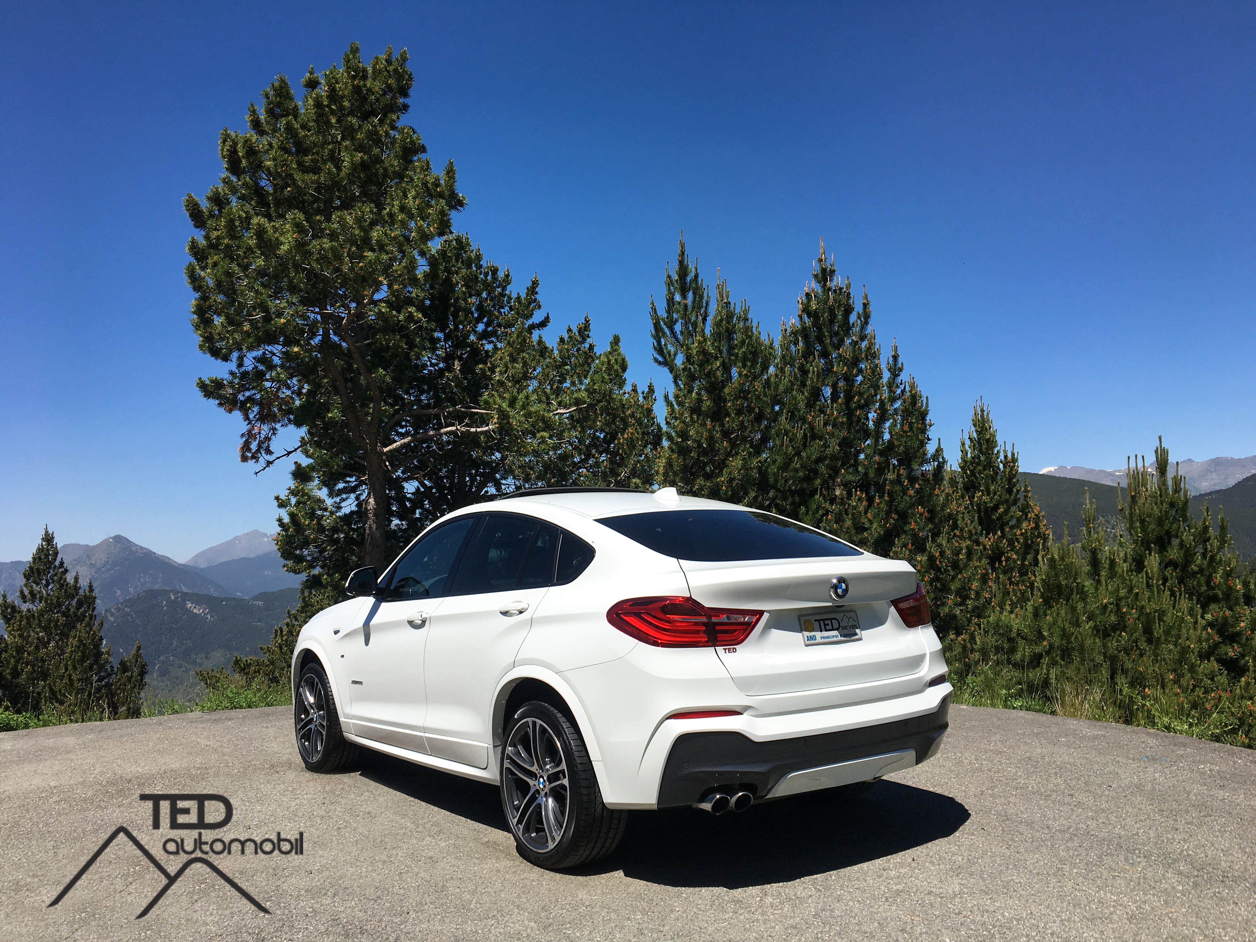 Bmw x4 3.5d pack m 313cv automatic 8