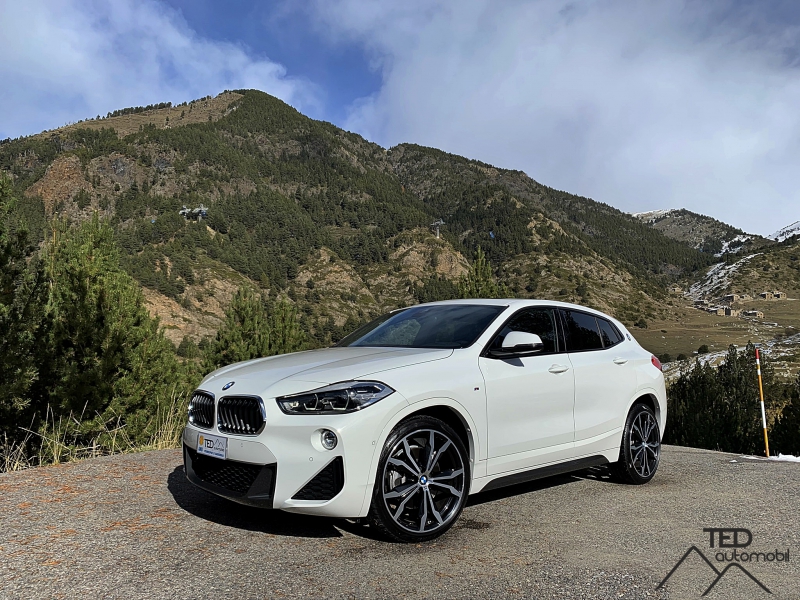 BMW X2 sDrive 20i 192cv