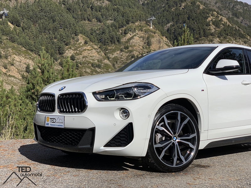 BMW X2 sDrive 20i 192cv