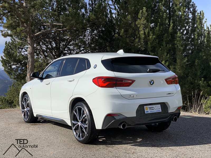 BMW X2 sDrive 20i 192cv