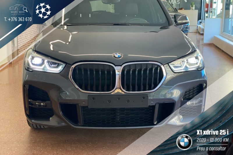 BMW X1 25i xDrive