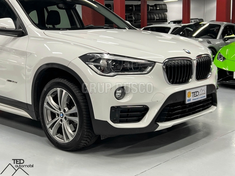 BMW X1 25d X-Drive 231cv