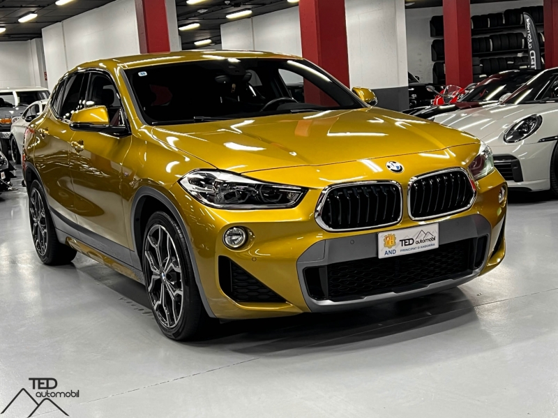 BMW X2 20d 190cv Xdrive pack M