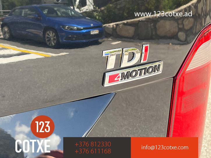 Volkswagen Caravelle 4motion 4x4 9Plazas