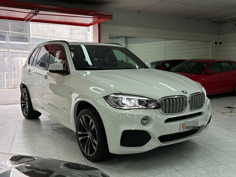 BMW X5 XDRIVE 40 D 