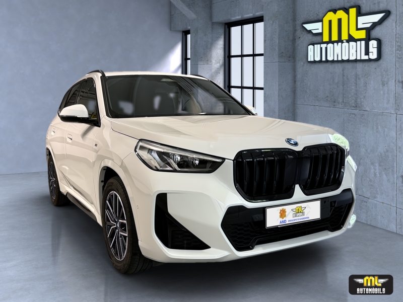 BMW X1 xDrive30e