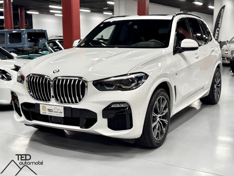 BMW X5 30d Xdrive Pack M 265cv