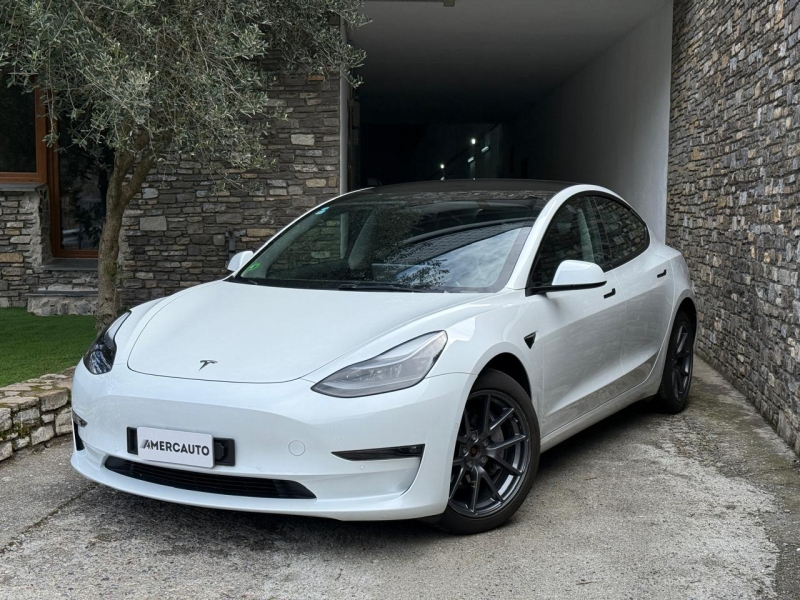 TESLA MODEL 3 DUAL MOTOR LONG RANGE FSD
