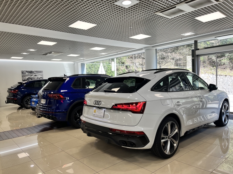 Audi SQ5 II Sportback ( facelift ) 3.0 TDI V6 (341 CV) Mild Hybrid quattro tiptronic  2022.  
