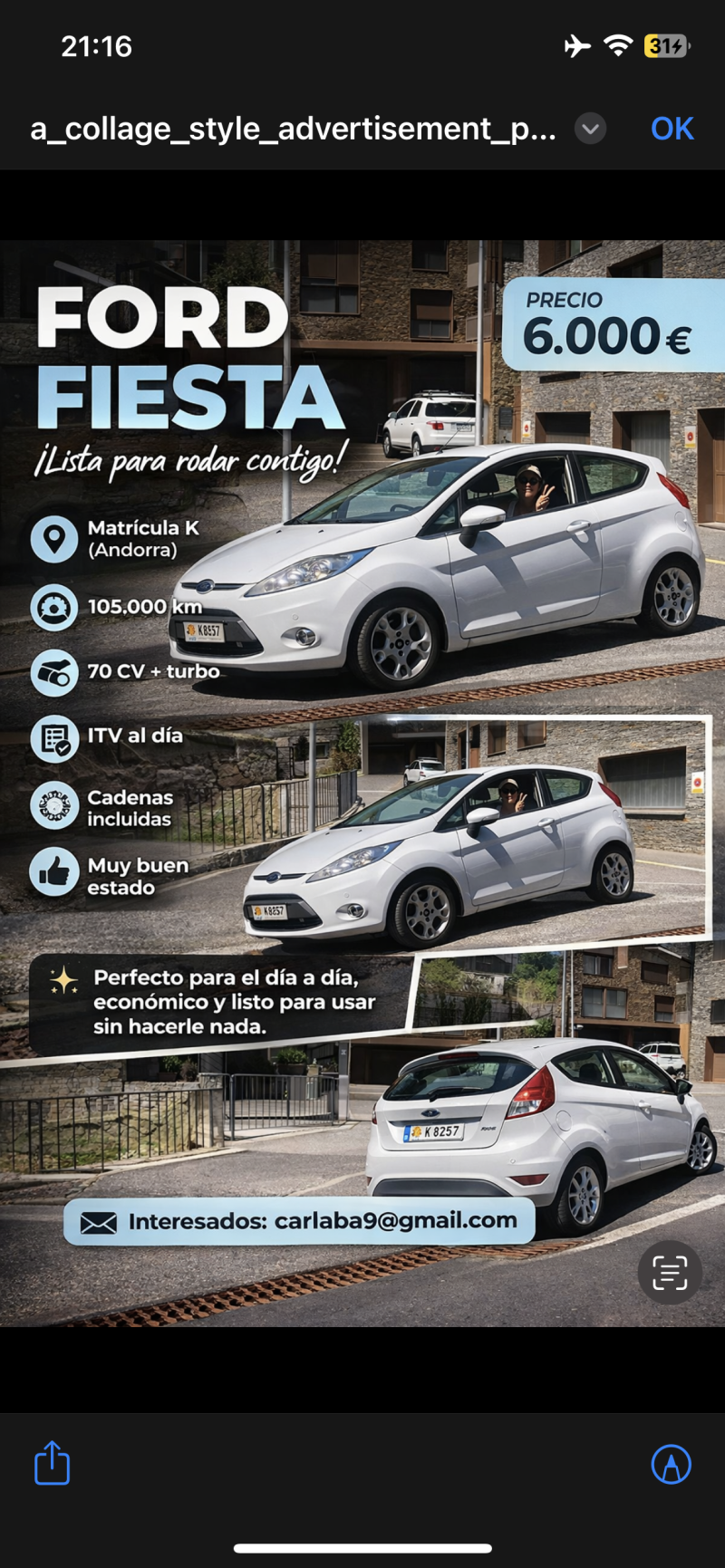 Ford fiesta blanc 