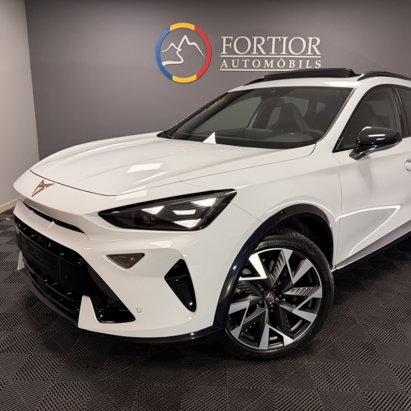 CUPRA FORMENTOR VZ 333cv “ SOSTRE”