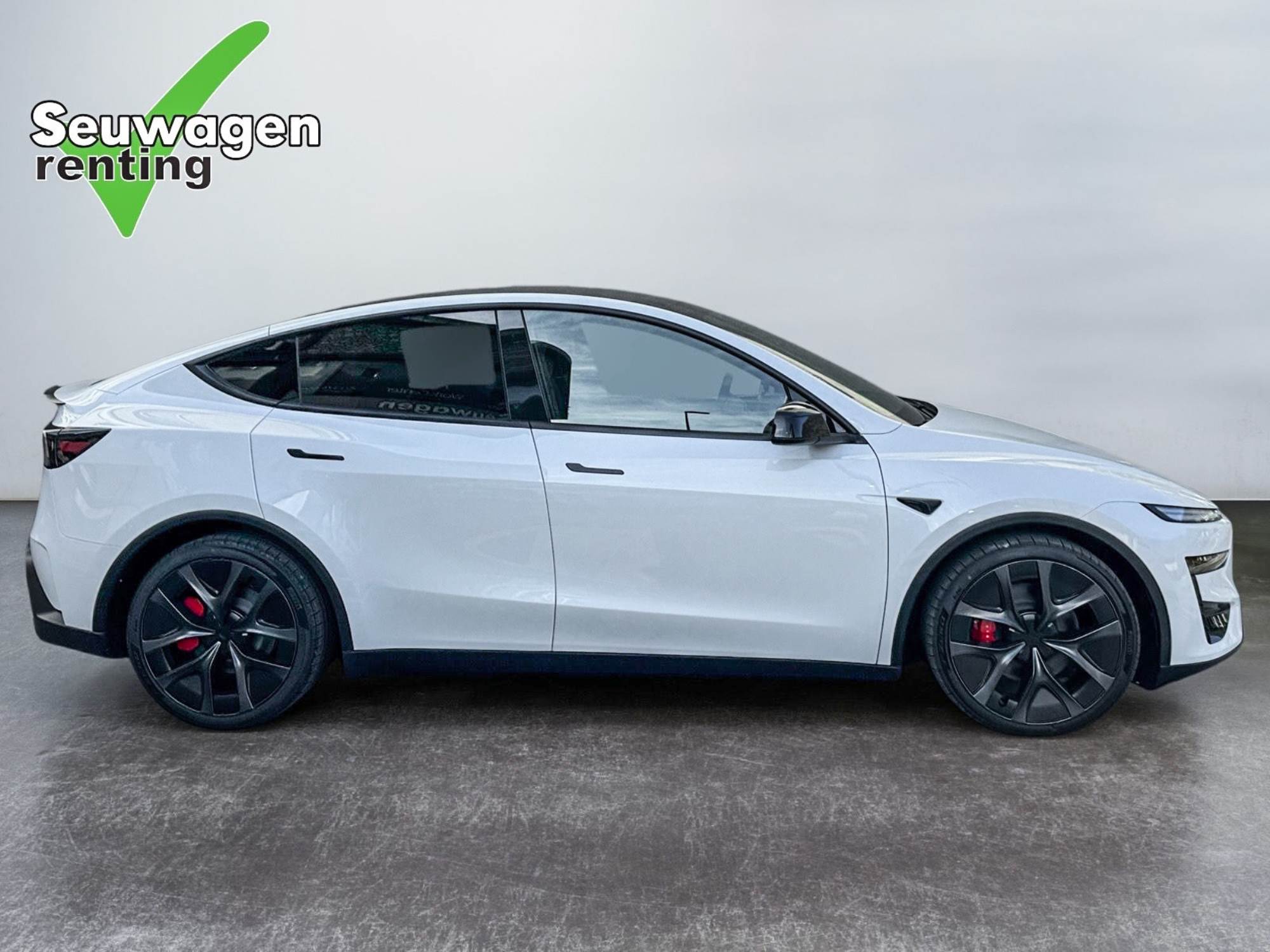Tesla Model Y Performance 