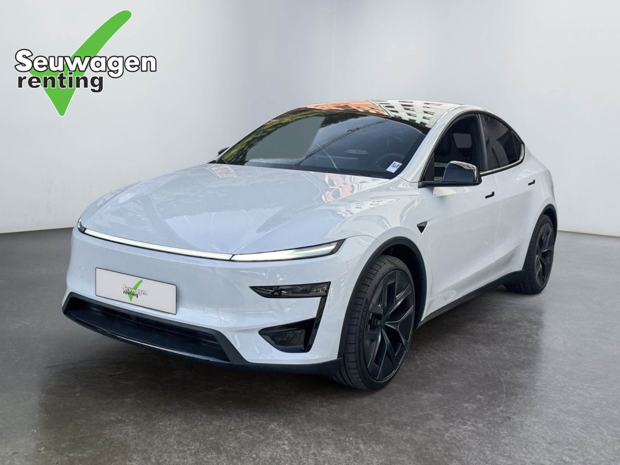 Tesla Model Y Performance 