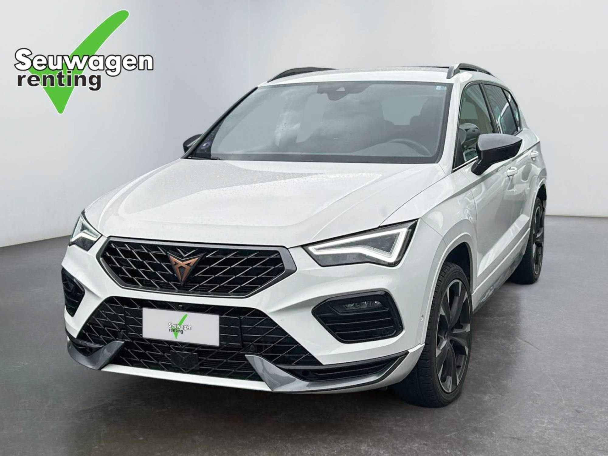 Cupra Ateca 190 Cv 4x4