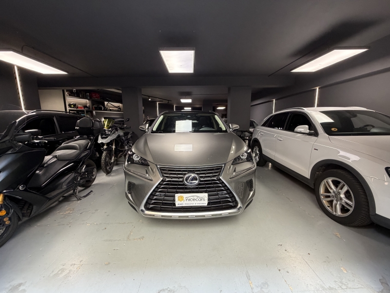 Lexus NX 300h 200cv